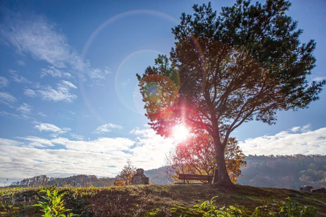 Gite La Rodernelle - Sauna Privatif - Climatisation - Vue Sur Le Chateau Du Haut Koenigsbourg Exteriör bild
